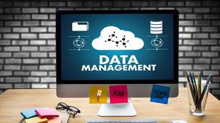 ฝ่าย IT & Data management